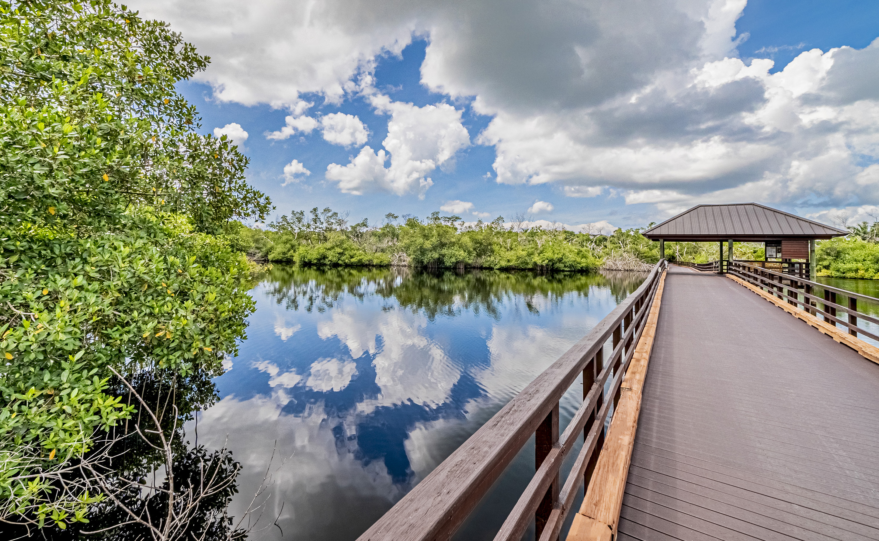 boardwalk with water